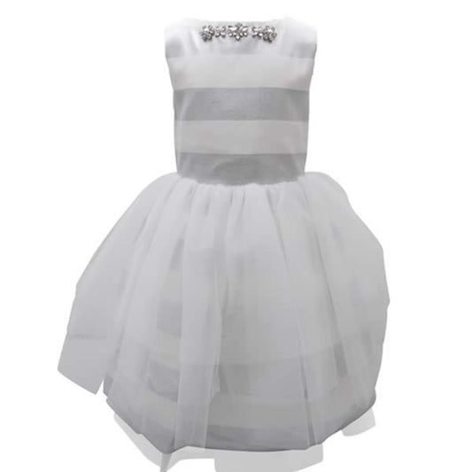 Ivory & Silver Tulle Dress